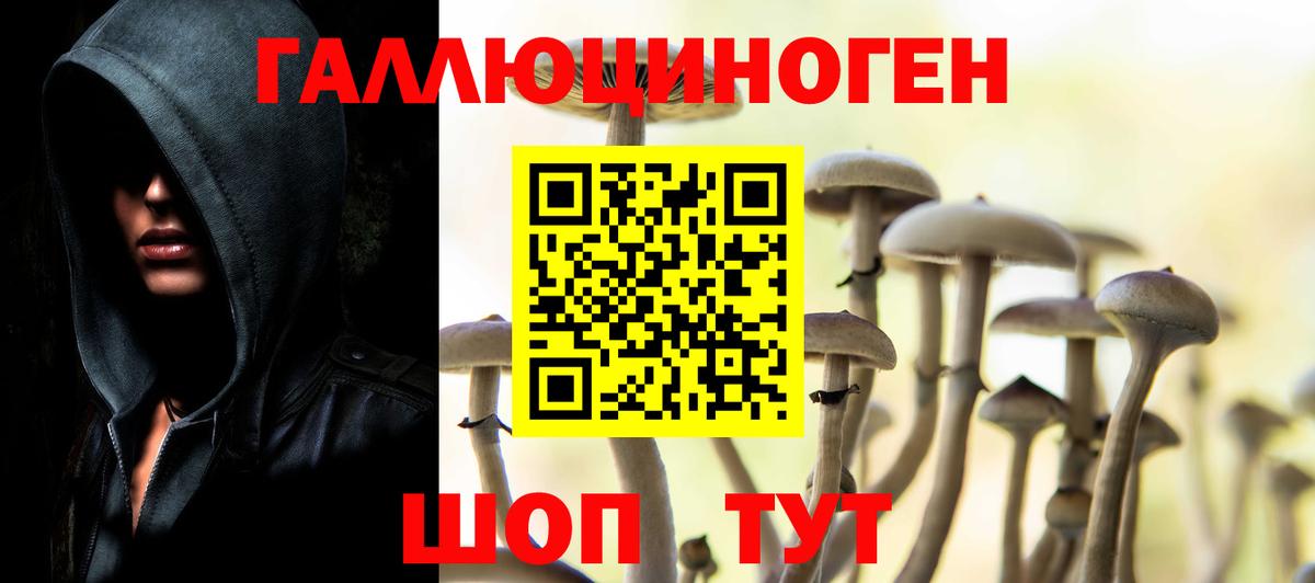 Псилоцибиновые грибы мухоморы Магадан