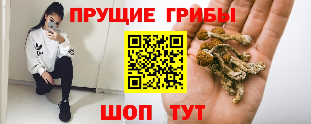 Псилоцибиновые грибы Psilocybine cubensis  Вход с VPN  Псилоцибиновые грибы MAGIC MUSHROOMS  Магадан 