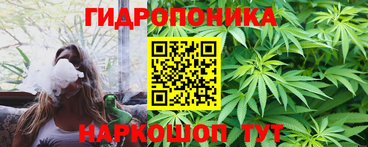 Марихуана Amnesia  Бошки Шишки гибрид  Канабис Amnesia  Магадан  Каннабис конопля  Вход с VPN 